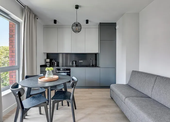 Apartament Scala Center & By Lion